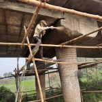 Inspection of Bridges – Procedure & General Guidelines