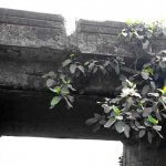 Maintenance of Bridges – General Planning & procedure